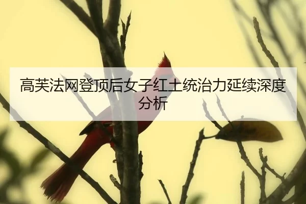 高芙法网登顶后女子红土统治力延续深度分析